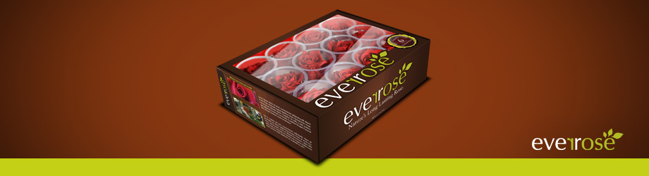 Graphic Design Studio Package Development